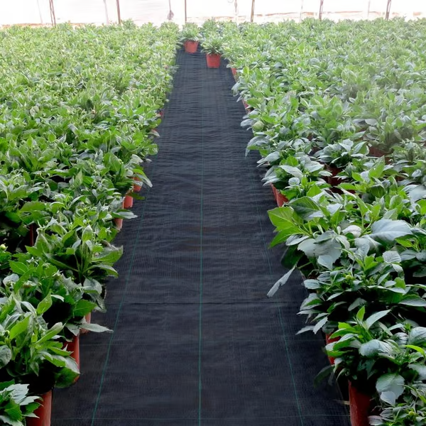 Premium Woven Weed Barrier ~ No chemicals, no mess, just results