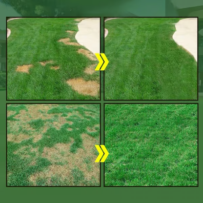 GreenRevive HydroSeeding Lawn Solution ~ Bring dead grass back to life in days